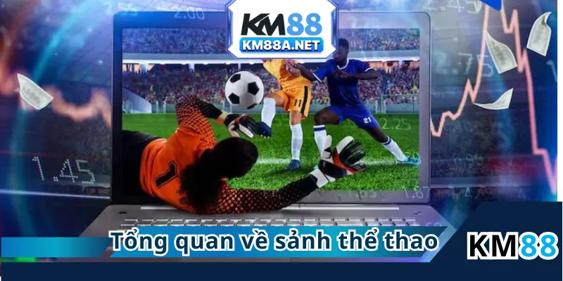 Tổng quan về sảnh thể thao KM88